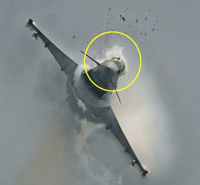 Aire 25 에어쇼 중 새와 충돌하는 유로파이터 모습. 하비에르 알론소 데 메디나 살게로 제공