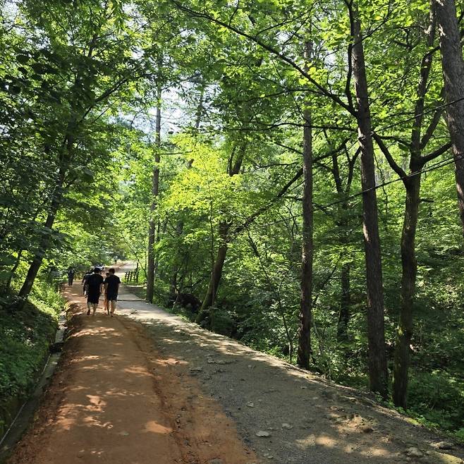 계족산 황톳길을 걷는 사람들
