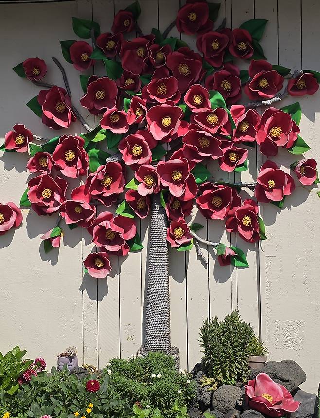 동백꽃 만들어 붙인'동백공방' (제주=연합뉴스) 한승호 기자 = 제주특별자치도 서귀포시 성산읍 '동백공방' 벽면에 만들어 붙인 동백꽃 2025.7.19 hsh@yna.co.kr