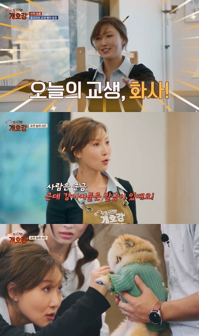 사진제공=JTBC ‘집 나가면 개호강’