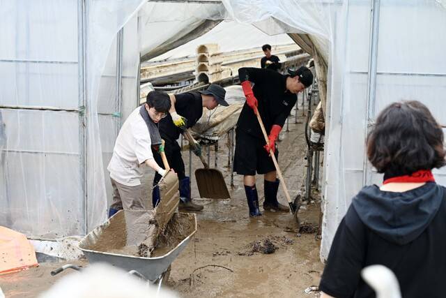 ▲ 수해복구에 나선 홍성군청 직원들-홍성군 제공