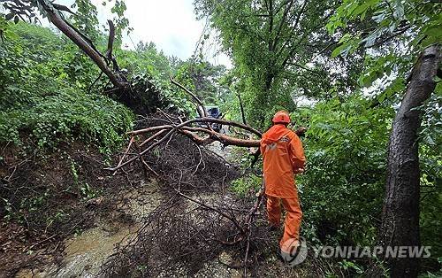 [전북특별자치도 소방본부 제공. 재판매 및 DB 금지]