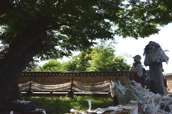 하회마을을 찾은 한 관광객이 삼신당 앞 650년 된 신목에서 소원을 빌고 있다. /안동시 제공