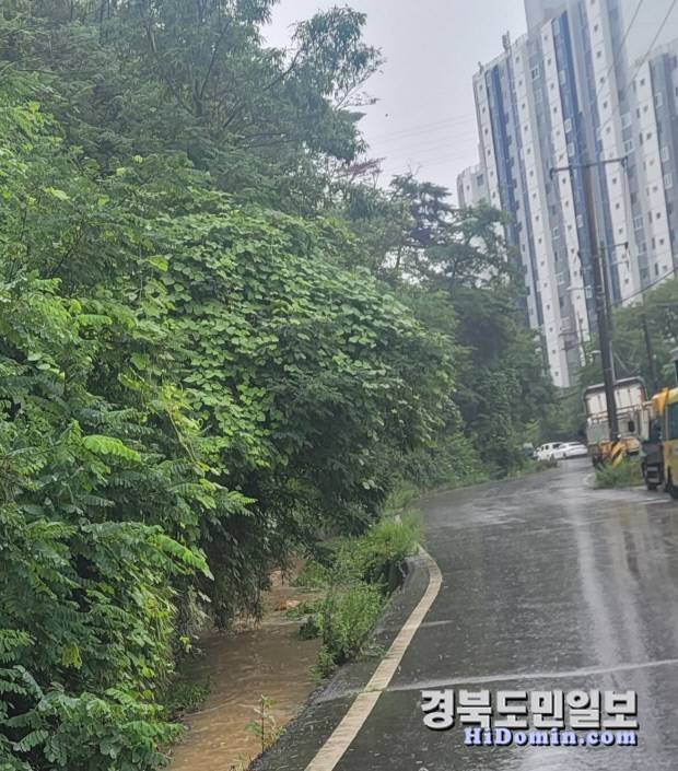 포항 우현 ~이인3지구 도로연결공사가 한창인 가운데 하천 복개 공사가 현재 진행 중이다. 사진은 관련 하천과 도로. 신동선 기자