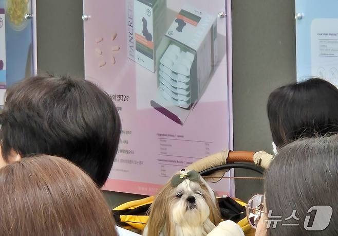 한국반려동물영양연구소는 19일 경기 광주 본사에서 보호자 세미나를 진행했다(한국반려동물영양연구소 제공). ⓒ 뉴스1