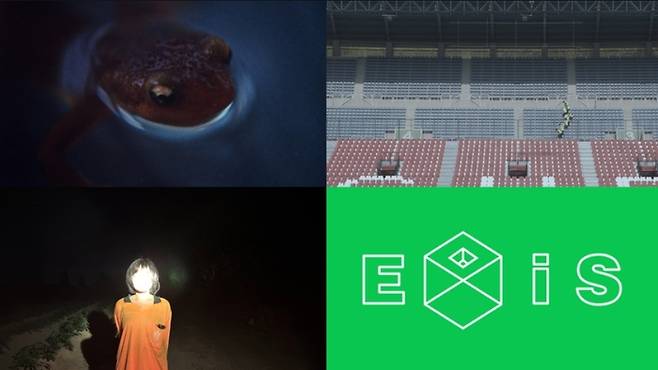 제22회 서울국제실험영화페스티벌 개막작 ‘네 손가락, 다섯 발가락’ ‘의자 위를 걸으며’ ‘사물 a (가제)’ 사진 | 서울국제실험영화페스티벌