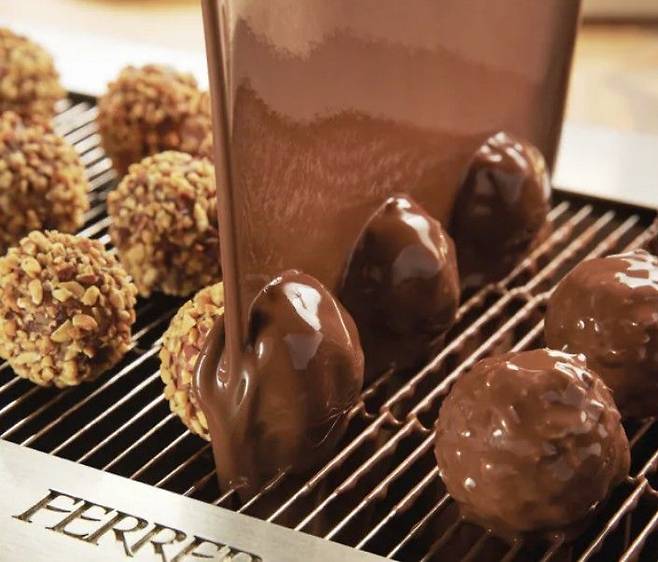 페레로 로쉐. 페레로 로쉐 공식 홈페이지