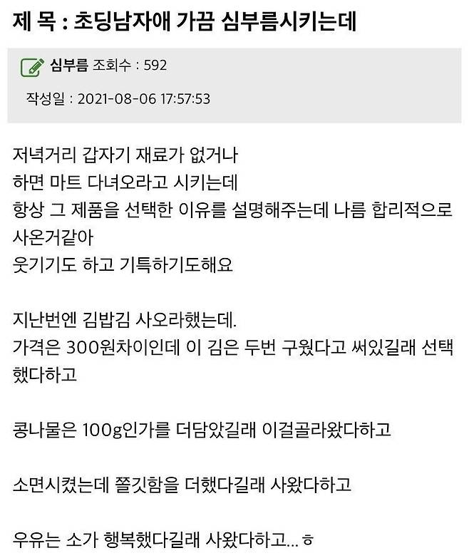 초딩 아들 심부름 후기..jpg