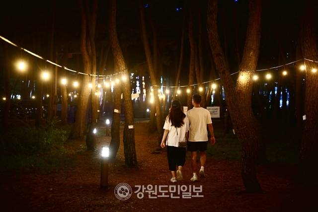 ▲ 속초해수욕장의 송림 산책로가 은은한 조명과 함께 여름 추억을 전하고 있다.
