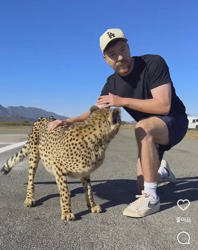 치타와 경주하는 챌린지를 설명하는 미스터비스트. 사진=미스터비스트 인스타그램