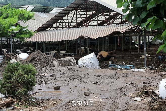 20일 집중호우가 내린 경기 가평군 상면 항사리의 한 축사에 강물 범람으로 토사가 쌓여 있 2025.7.20. 정지윤 선임기자