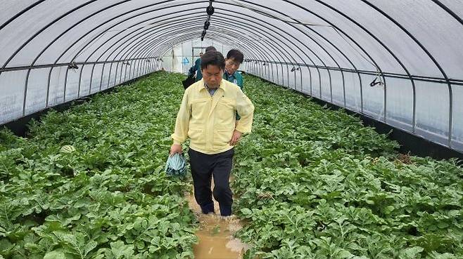 수해 현장을 둘러보는 박정현 충남 부여군수. 부여군 제공