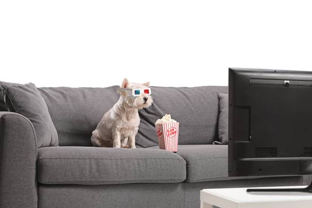 게티이미지뱅크