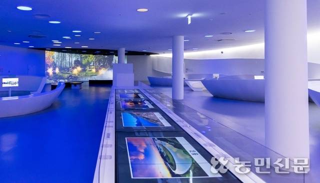 강문화전시실 천장엔 자연 채광을 위한 구멍이 나 있다.