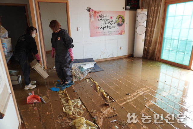 20일 오전 충남 예산군 고덕면 구만리의 임구현씨(82) 집. 임씨의 딸 최미영씨(53)가 어머니 집안을 치우고 있다.