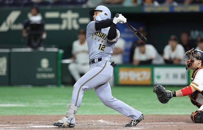 한신 타이거즈 공식 인스타그램 캡쳐