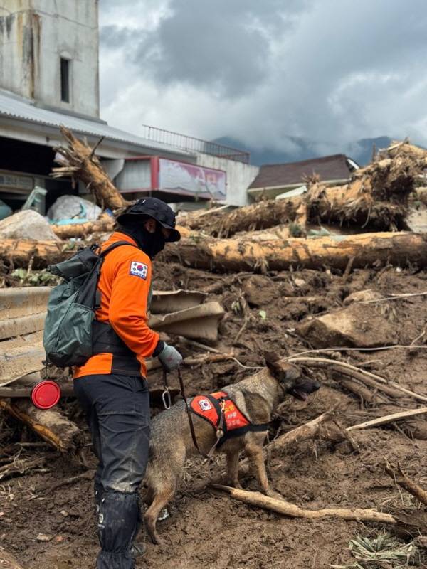 박완수 경남도지사의 극한호우 대책 재정비 지시에 따라 시·군 구조 인력이 피해 현장 복구에 나섰다. 사진은 구조견과 함께 수색 중인 구조대원. / 경남도