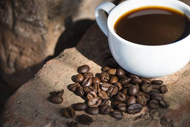 카페인이 들어간 샴푸는 두피와 모낭에 직접 작용해 탈모 관리에 도움을 줄 수 있다. [사진=게티이미지뱅크]