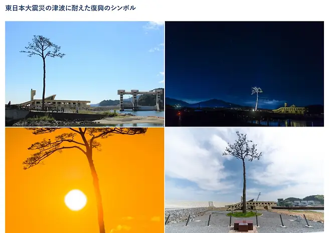 0fbcde22ece431a37980d7e258c6213f21b28dc4f1dc180b9c9b2ed47c