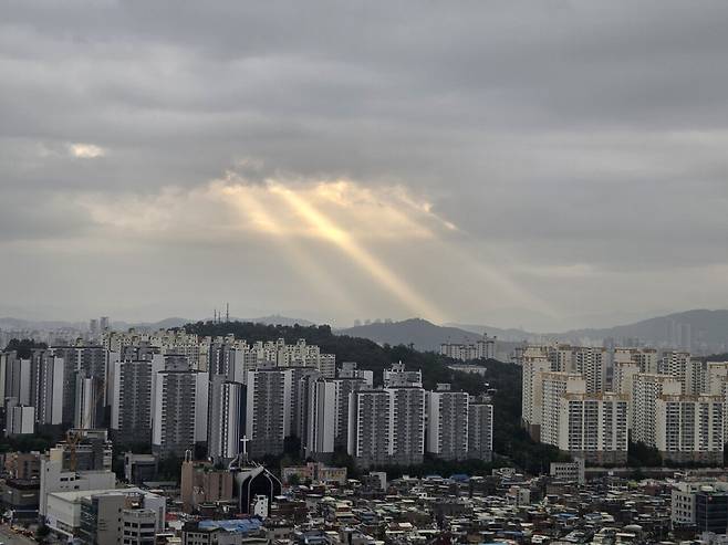 20250721_064527.jpg 나도 오전에 지리는거 찍음