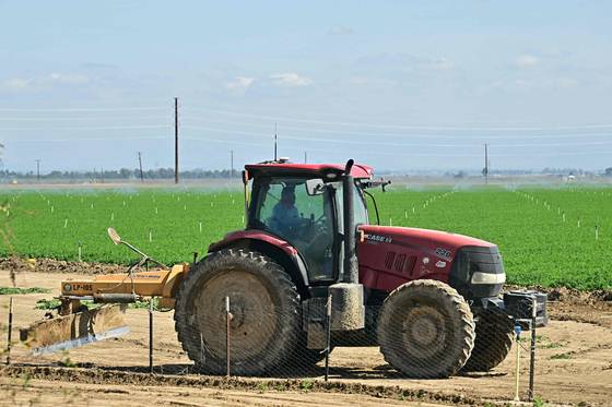 미국 캘리포니아주 컨카운티에서 농부가 농지를 정비하고 있다. AFP=연합뉴스