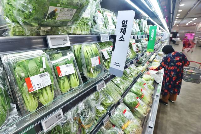 ▲ 21일 서울 시내 한 대형마트 채소판매대에서 시민들이 장을 보고 있다. 연합뉴스