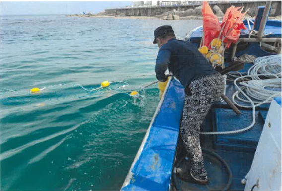 유해생물방지망 설치 사업. 강원도청 제공