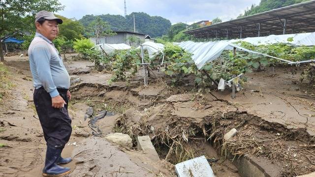 경기 가평 원흥리에서 1만6528㎡(5000평) 규모로 포도·참깨·들깨 등을 생산하는 최명열씨(71세)가 20일 새벽 3시께 강물에 휩쓸려온 흙으로 뒤덮힌 포도밭과 태양광 시설을 망연자실한 표정으로 바라보고 있다.