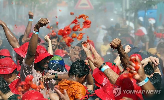 2024 화천토마토축제에 참가한 외국인 관광객 [연합뉴스 자료사진]