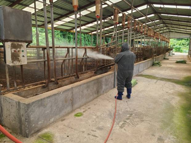 장흥군 축산시설 악취저감 공동살포단이 관내 한 축산농가에서 악취 저감을 위해 자체 생산한 미생물을 살포하고 있다. 장흥군 제공