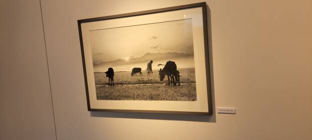 1959년 작 ‘초원의 아침’(전남대)