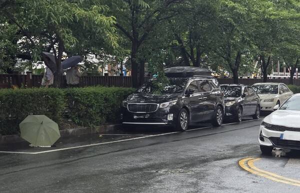 최근 창원시 마산합포구 문화동 소하천 인근에서 고양이들이 잇따라 숨졌다. 한 주민이 수컷 고양이 사체(사진 왼쪽)를 우산으로 가려둔 것을 다른 암컷 고양이(사진 오른쪽)가 차 아래에서 바라보고 있다. /독자