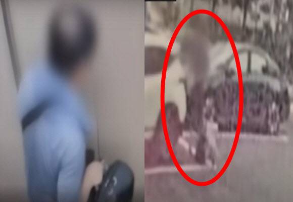 (사진=YTN 보도화면 캡처)