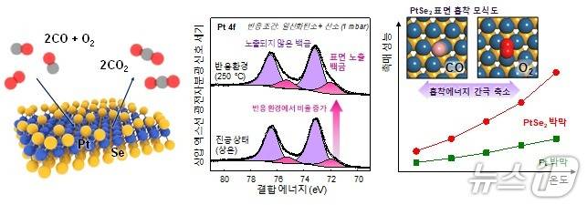사진 (왼쪽) PtSe2 표면에서 진행되는 일산화탄소 산화 반응에 대한 모식도. (가운데) 진공상태와 일산화탄소 산화반응 환경에서 연속적으로 진행된 상압 엑스선 광전자분광 분석. (오른쪽 위) PtSe2 표면에 흡착한 일산화탄소와 산호의 흡착을 보여주는 모식도. (오른쪽 아래) 온도에 따른 PtSe2 박막과 백금 박막의 일산화탄소 산화 반응 성능 비교. (KAIST 제공. 재판매 및 DB금지)2025.7.21/뉴스1