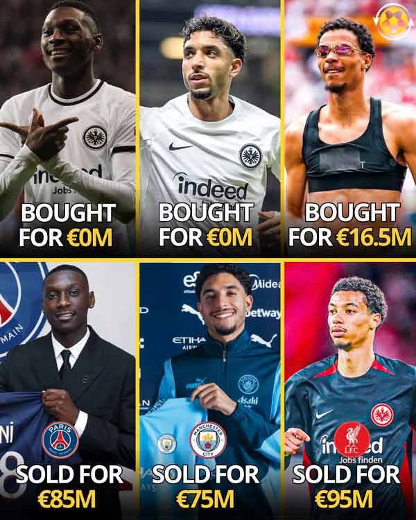 출처=트랜스퍼뉴스라이브 캡쳐