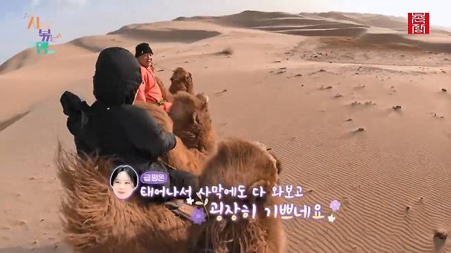 [지지고 볶는 여행]드디어 고비 사막에 도착! ....했는데 짜증 난 옥순! 이유는 낙타 위에서 옥순을 살살 긁는 영식 때문! 제발 그만...! ep19-1.mp4_20250722_122527.542.jpg 나는솔로 옥순이 낙타 타다 영식에게 짜증난 이유