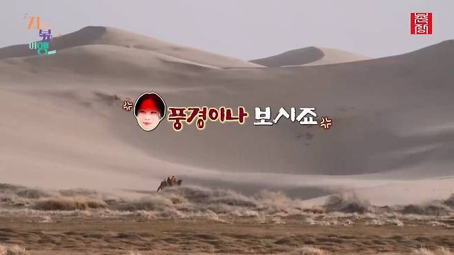 [지지고 볶는 여행]드디어 고비 사막에 도착! ....했는데 짜증 난 옥순! 이유는 낙타 위에서 옥순을 살살 긁는 영식 때문! 제발 그만...! ep19-1.mp4_20250722_122656.021.jpg 나는솔로 옥순이 낙타 타다 영식에게 짜증난 이유