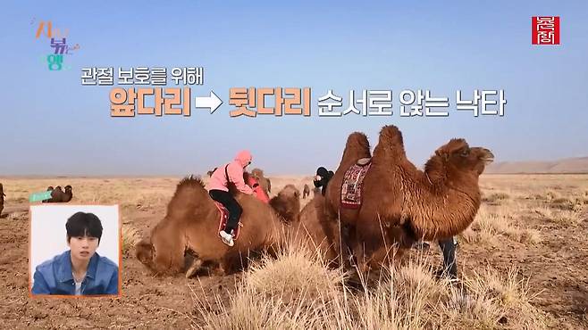 [지지고 볶는 여행]드디어 고비 사막에 도착! ....했는데 짜증 난 옥순! 이유는 낙타 위에서 옥순을 살살 긁는 영식 때문! 제발 그만...! ep19-1.mp4_20250722_122726.413.jpg 나는솔로 옥순이 낙타 타다 영식에게 짜증난 이유