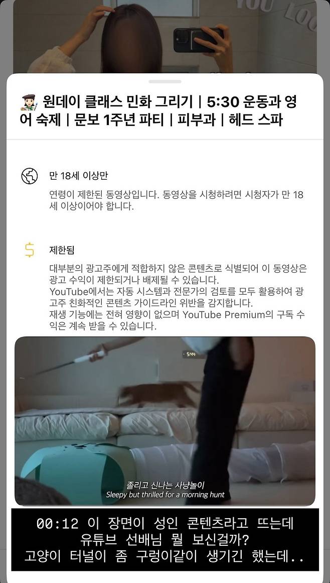 NWSrFN.jpg 최근 업로드한 브이로그가 성인인증이 떠버린 유튜버