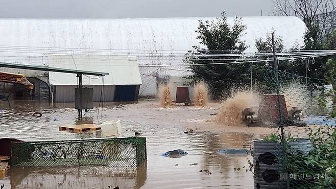 수마가 할퀴고 간 경기 가평군 조종면 일대 모습. [독자 제공]