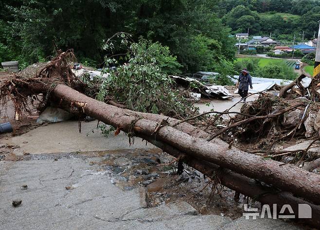[가평=뉴시스] 이영환 기자 = 사진은 지난 20일 경기 가평군 조종면 신상리 일대에 쏟아진 폭우로 산사태가 발생해 나무가 쓰러져 있는 모습. 2025.07.20. 20hwan@newsis.com