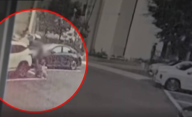 지난 20일 오후 4시쯤 60대 남성 A씨가 인천 송도의 아들 집으로 향하기 전 서울 도봉구 거주지 주차장에서 렌트차량에 큰 가방을 옮기는 모습.&nbsp;YTN&nbsp;보도화면 캡처