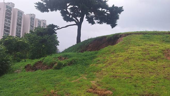 사적 '함안 말이산 고분군' 피해 모습  [국가유산청 제공. 재판매 및 DB 금지]