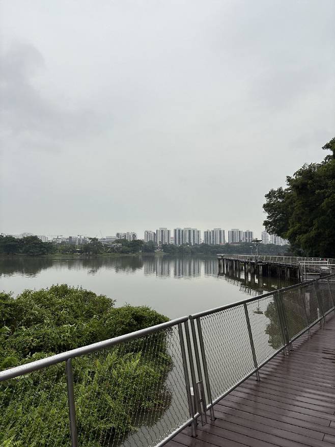 주롱 레이크 가든(Jurong Lake Gardens)에 조성된 다리.(사진=심효준 기자)