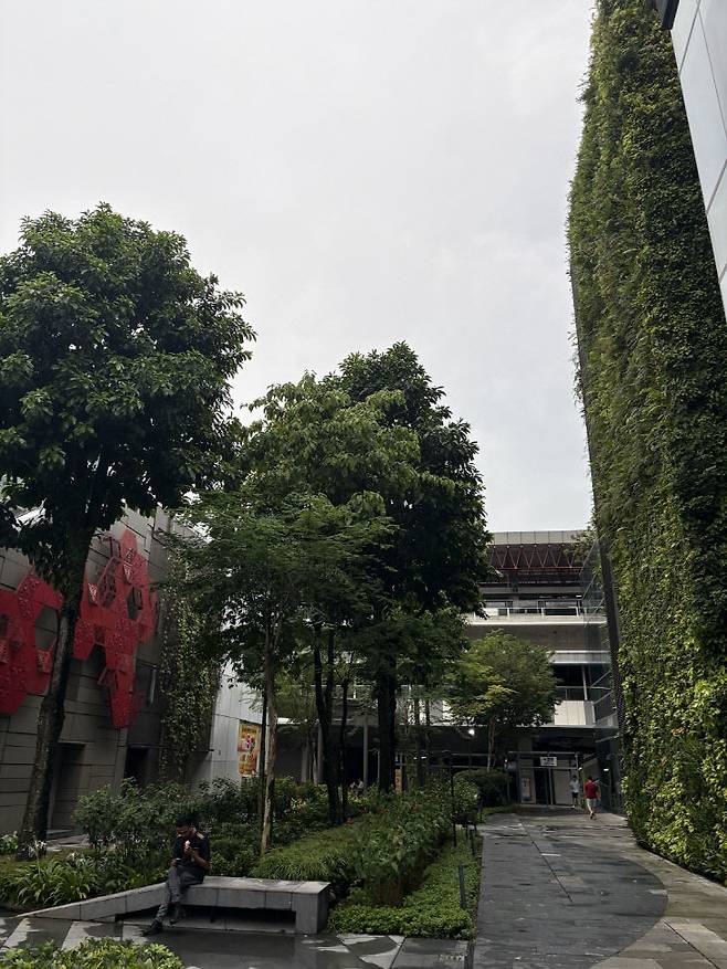 주롱호수지구 내 건물 외벽에 녹지 공간이 형성돼 있다.(사진=심효준 기자)