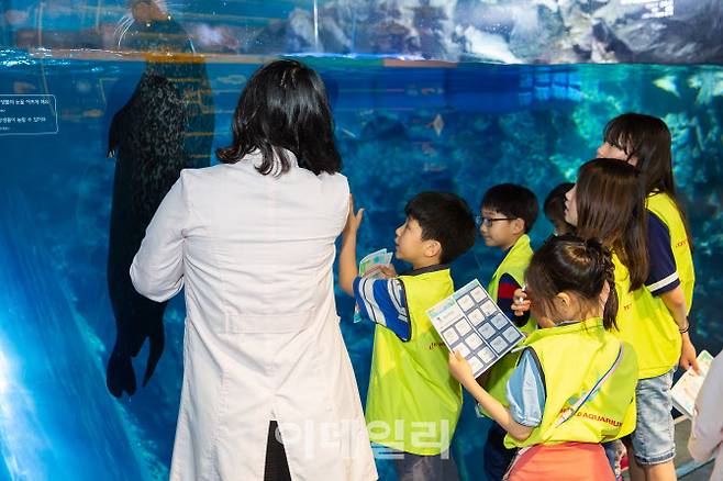 롯데월드 아쿠아리움 ‘아쿠아 패밀리 캠프’를 즐기는 어린이들 (사진=롯데월드)