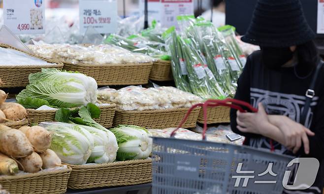 서울 시내 대형마트에 배추가 진열돼 있다. (자료사진) /뉴스1 ⓒ News1 이승배 기자
