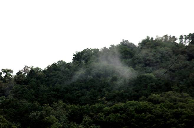 한낮 최고 35도 무더위… 강원·경북 소나기 [오늘날씨]= 수요일인 오늘(23일) 날씨는 전국이 가끔 구름 많겠으나, 제주도는 대체로 맑겠다. 새벽(00~06시)부터 아침(06~09시) 사이 강원북부내륙에 0.1mm 미만의 빗방울이 떨어지는 곳이 있겠다. 오후(12~18시)에 강원내륙.산지와 충북북부, 경북북동내륙.산지에 소나기가 내리는 곳이 있겠다. 예상 강수량은 △강원내륙.산지 5~30mm △충북북부 5~30mm △경북북동내륙.산지 5~30mm로 관측된다. ©서울, 서울날씨, 오늘날씨, 내일날씨