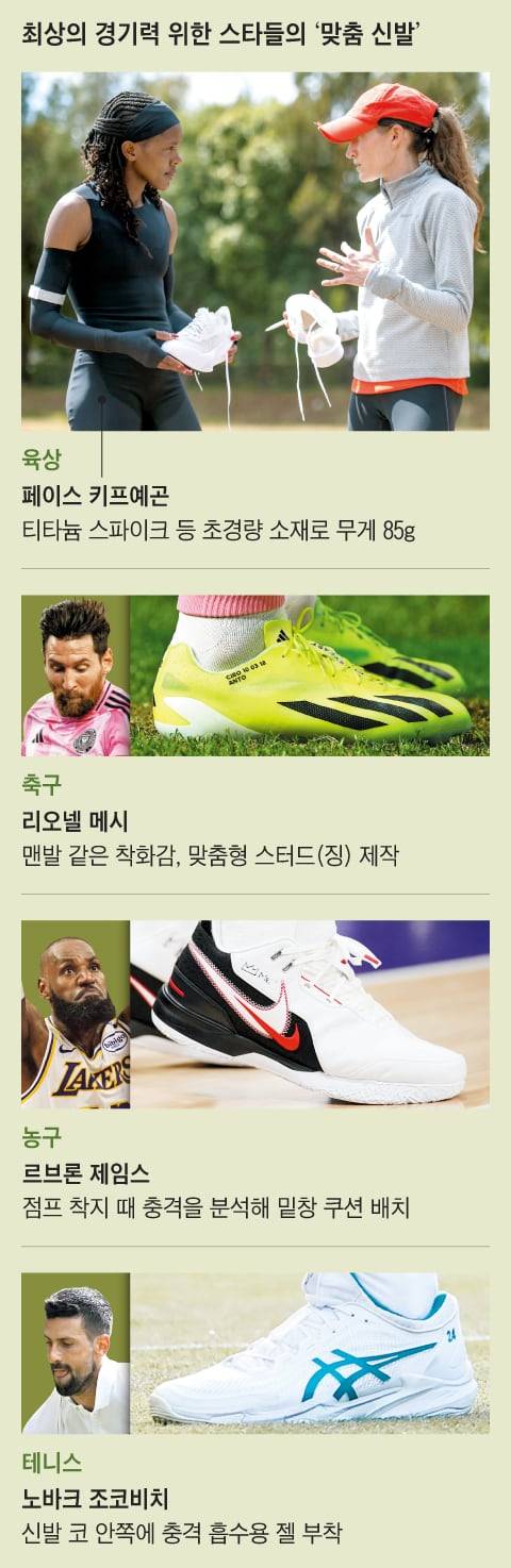 그래픽=백형선