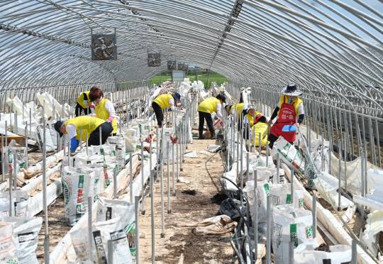 경주시자원봉사자들이 지난 21일 충남 홍성군 금마면에서 수해복구에 나선 모습. 홍성군 제공